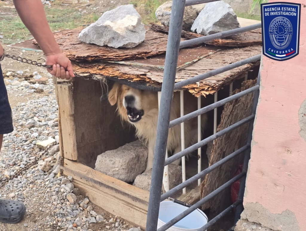 WhatsApp Image 2026-01-09 at 10.57.06 AM