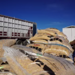 WhatsApp Image 2026-01-09 at 8.35.19 AM