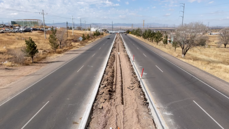 WhatsApp Image 2026-01-12 at 13.29.02