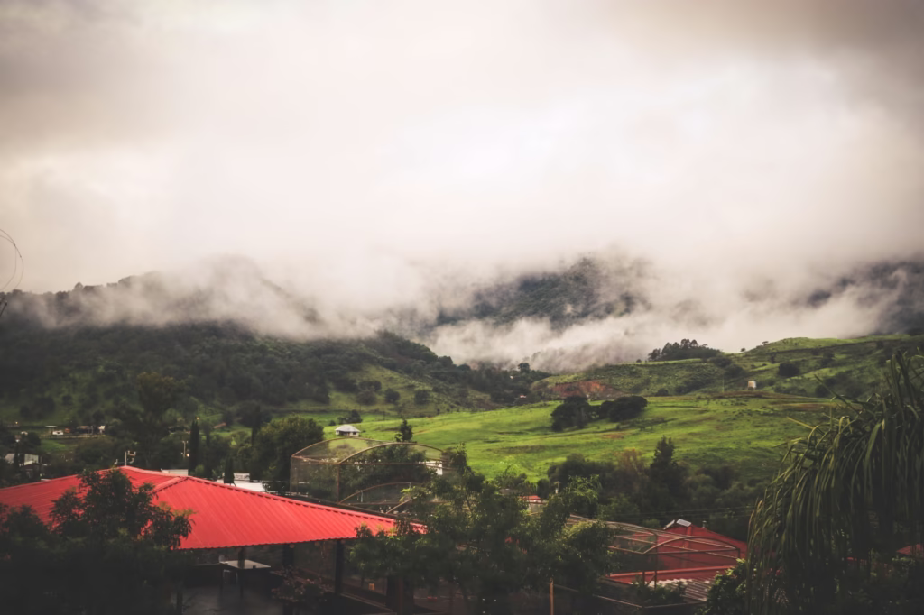 WhatsApp Image 2026-01-13 at 12.04.01