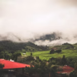 WhatsApp Image 2026-01-13 at 12.04.01