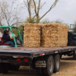 WhatsApp Image 2026-01-14 at 11.42.19