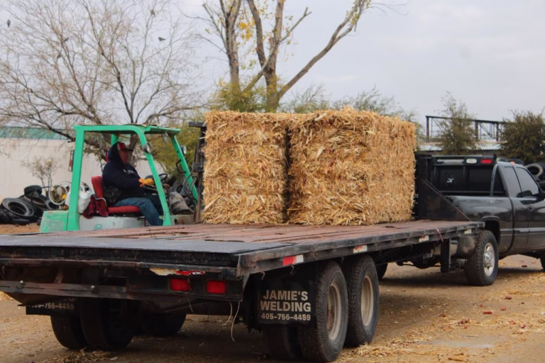 WhatsApp Image 2026-01-14 at 11.42.19