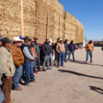 WhatsApp Image 2026-01-14 at 12.25.14