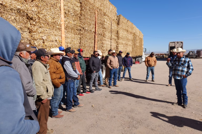 WhatsApp Image 2026-01-14 at 12.25.14