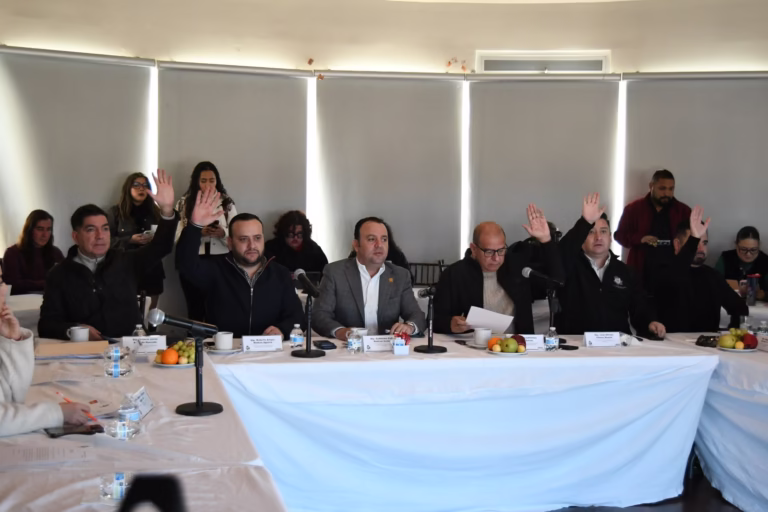 WhatsApp Image 2026-01-16 at 09.30.24