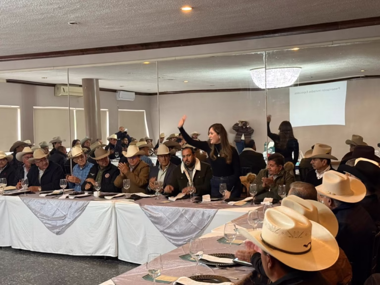 WhatsApp Image 2026-01-16 at 11.56.27