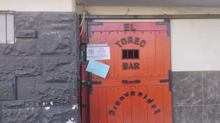 WhatsApp Image 2026-01-19 at 10.50.22 AM