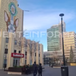 WhatsApp Image 2026-01-19 at 10.52.10 AM