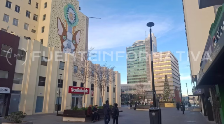 WhatsApp Image 2026-01-19 at 10.52.10 AM