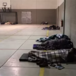 WhatsApp Image 2026-01-19 at 11.04.03 AM