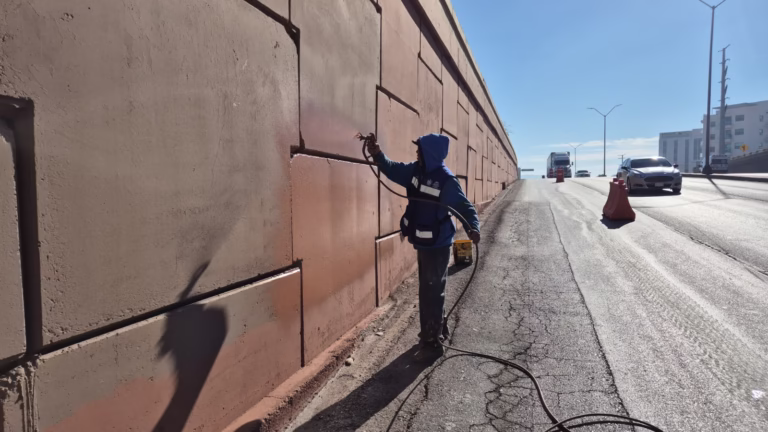 WhatsApp Image 2026-01-19 at 11.26.11 AM