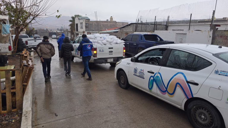 WhatsApp Image 2026-01-19 at 12.00.24 PM (1)