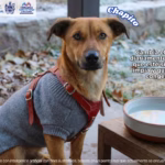 WhatsApp Image 2026-01-20 at 1.28.36 PM (2)