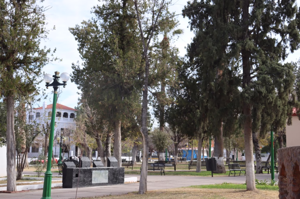 WhatsApp Image 2026-01-20 at 2.22.07 PM