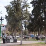 WhatsApp Image 2026-01-20 at 2.22.07 PM