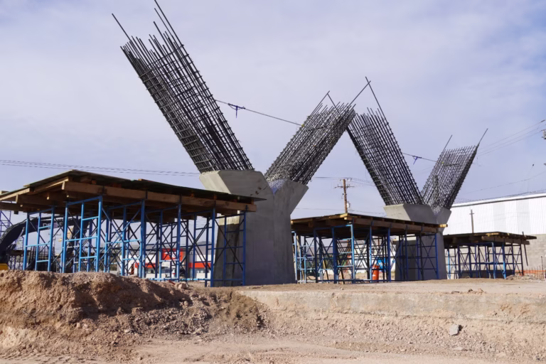 WhatsApp Image 2026-01-22 at 1.24.03 PM