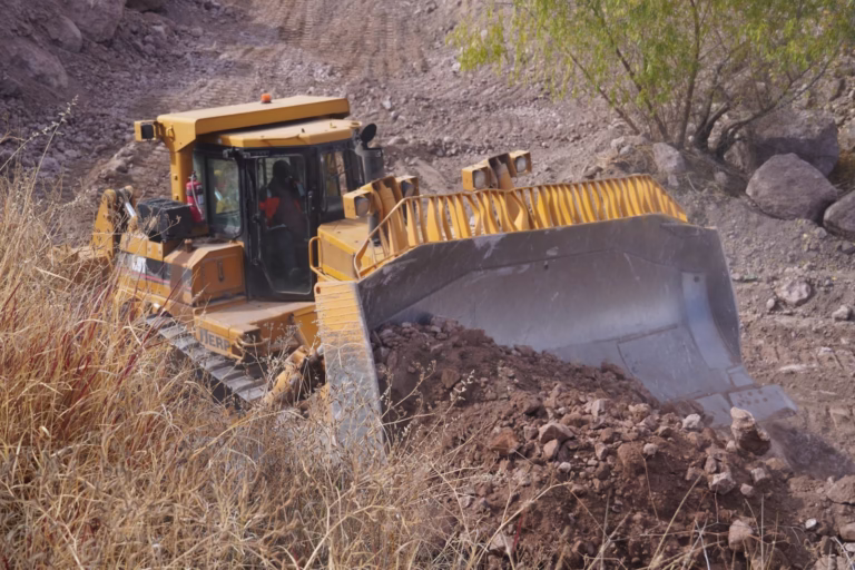 WhatsApp Image 2026-01-23 at 11.31.11 AM (1)