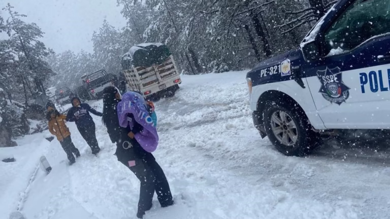 WhatsApp Image 2026-01-24 at 14.04.10 (1)4