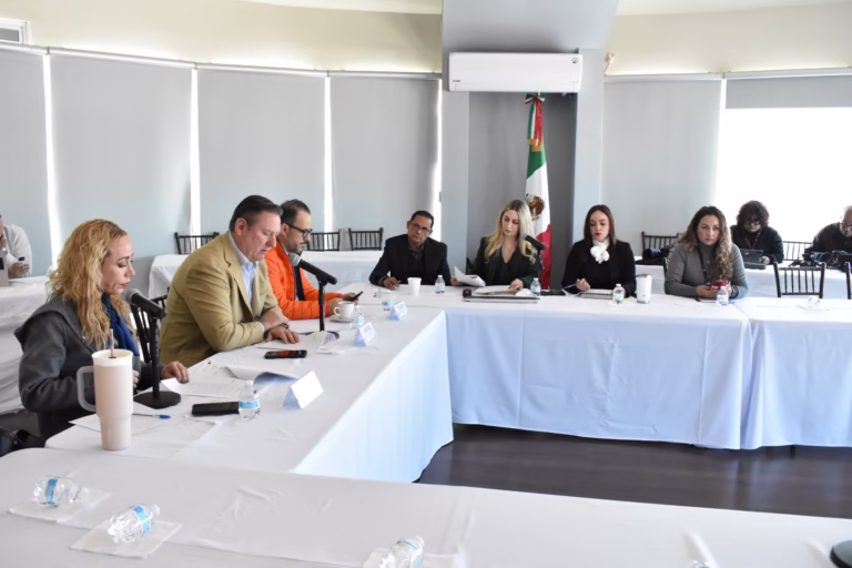 WhatsApp Image 2026-01-26 at 14.35.33