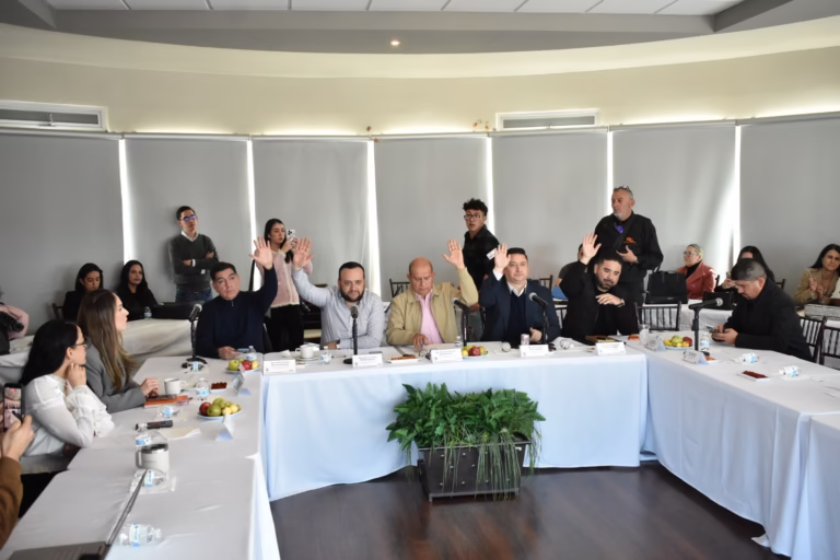 WhatsApp Image 2026-01-27 at 15.56.23