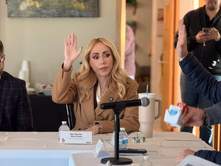 WhatsApp Image 2026-01-28 at 14.33.53