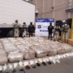 WhatsApp Image 2026-01-29 at 10.02.53