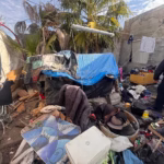 WhatsApp Image 2026-01-29 at 2.34.42 PM