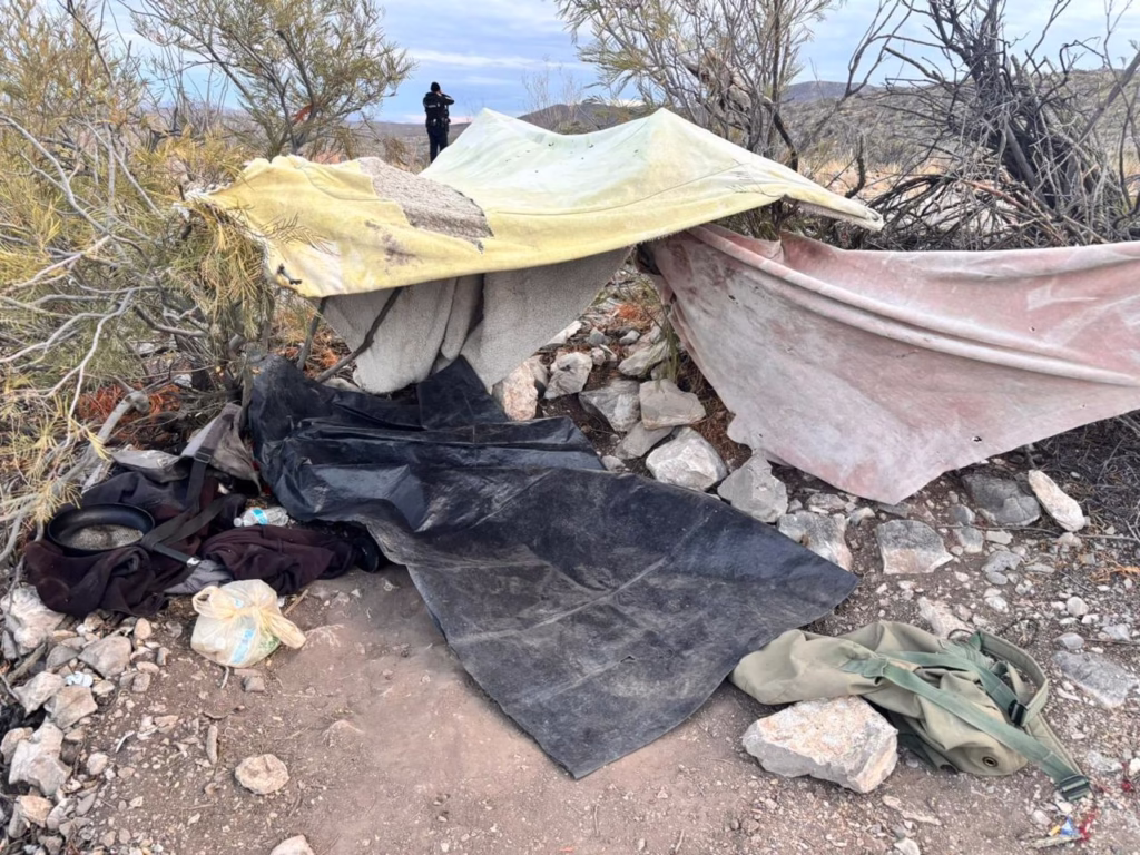 WhatsApp Image 2026-01-30 at 09.24.51