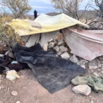 WhatsApp Image 2026-01-30 at 09.24.51