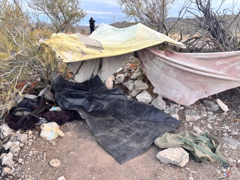 WhatsApp Image 2026-01-30 at 09.24.51