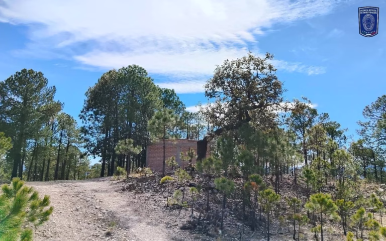 WhatsApp Image 2026-01-30 at 10.15.15 AM