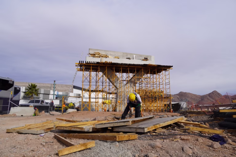 WhatsApp Image 2026-01-30 at 10.52.56 AM