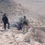 WhatsApp Image 2026-01-31 at 08.55.44