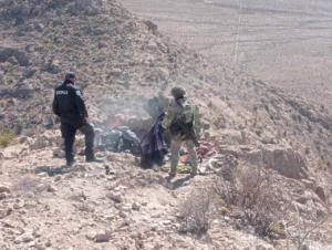 WhatsApp Image 2026-01-31 at 08.55.44