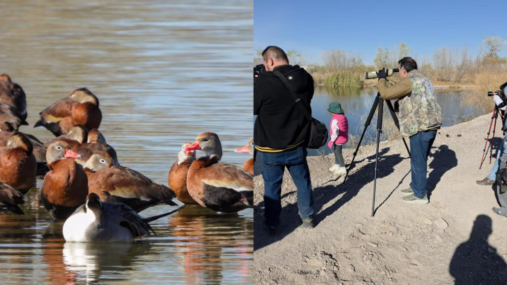 photo-collage.png (2)