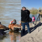 photo-collage.png (2)