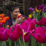 flores mujer olor campo plantas agro feliz positivo