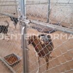 Diseño sin título (15)