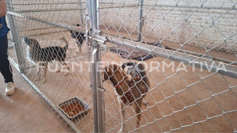 Diseño sin título (15)