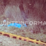 Diseño sin título (3)