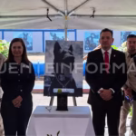 Diseño sin título (42)