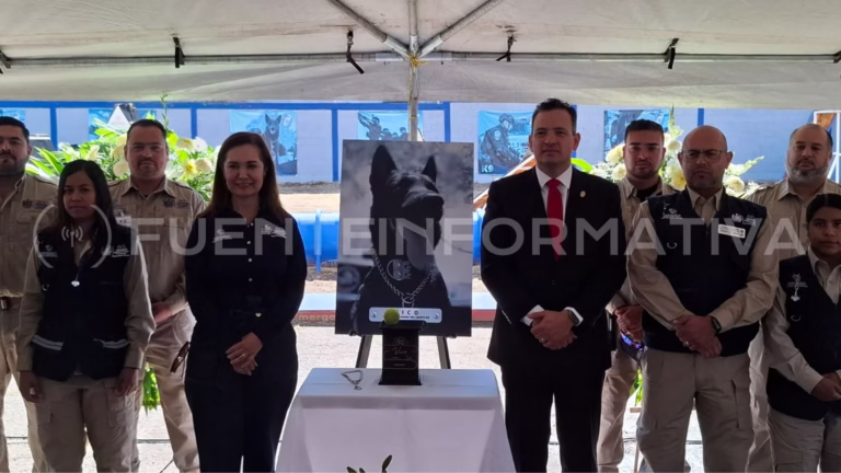 Diseño sin título (42)