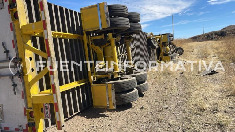 Diseño sin título_20260221_151108_0000