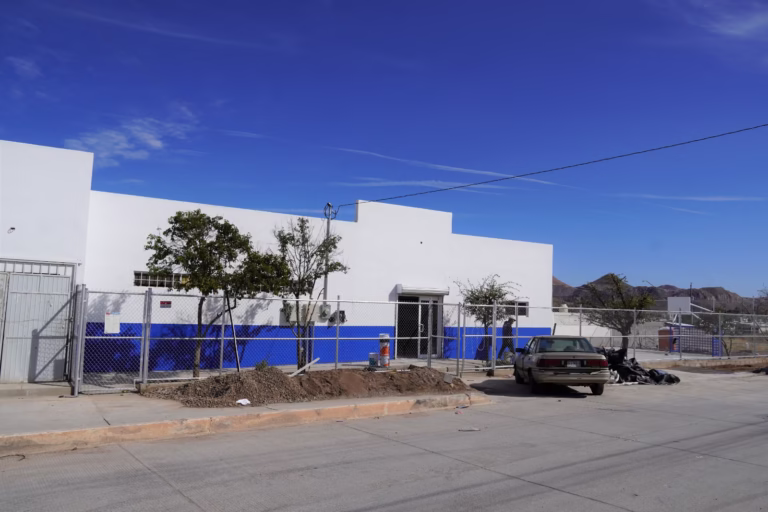 IMG-20260213-WA0079(1)