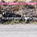 PHOTO-2026-02-14-13-41-28