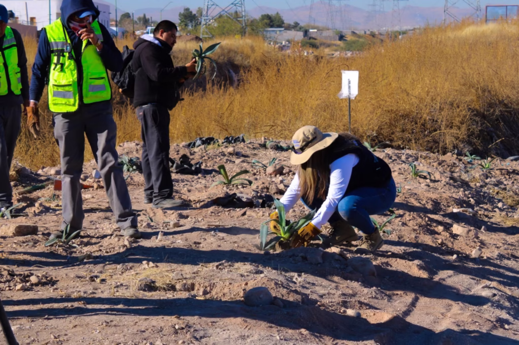 WhatsApp-Image-2025-12-12-at-11.58.00-AM-1-1536x1023