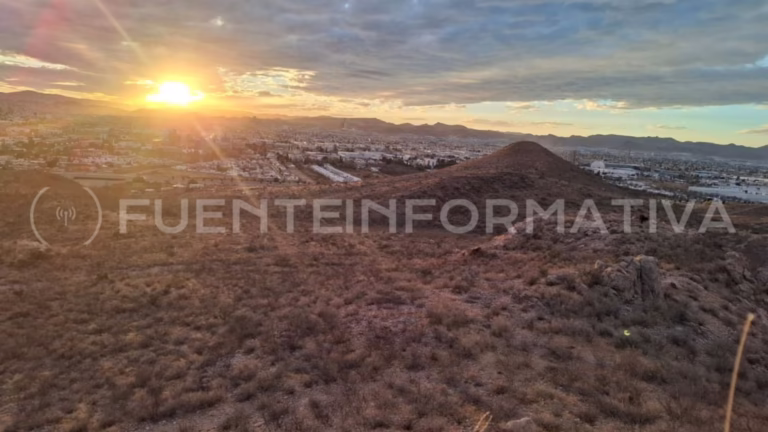 WhatsApp Image 2026-02-01 at 11.44.25 PM (1)