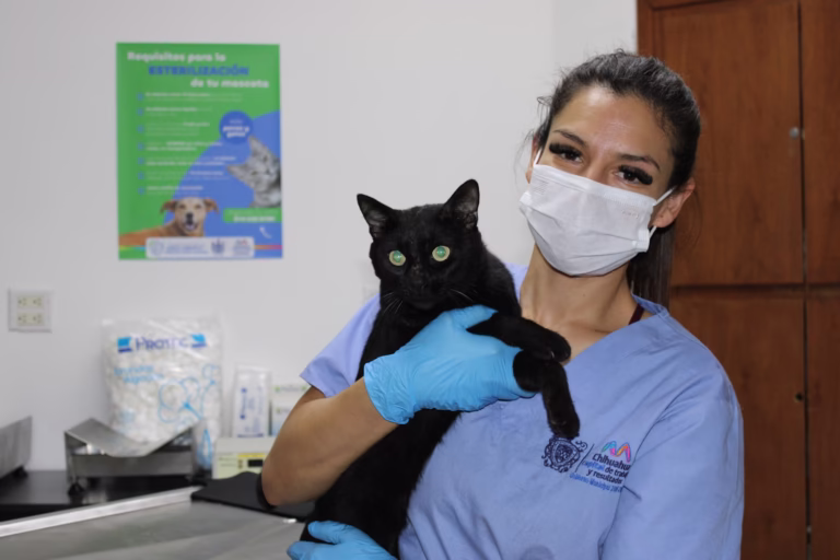 WhatsApp Image 2026-02-02 at 09.54.24