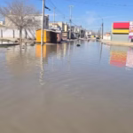 WhatsApp Image 2026-02-03 at 07.39.25 (1)